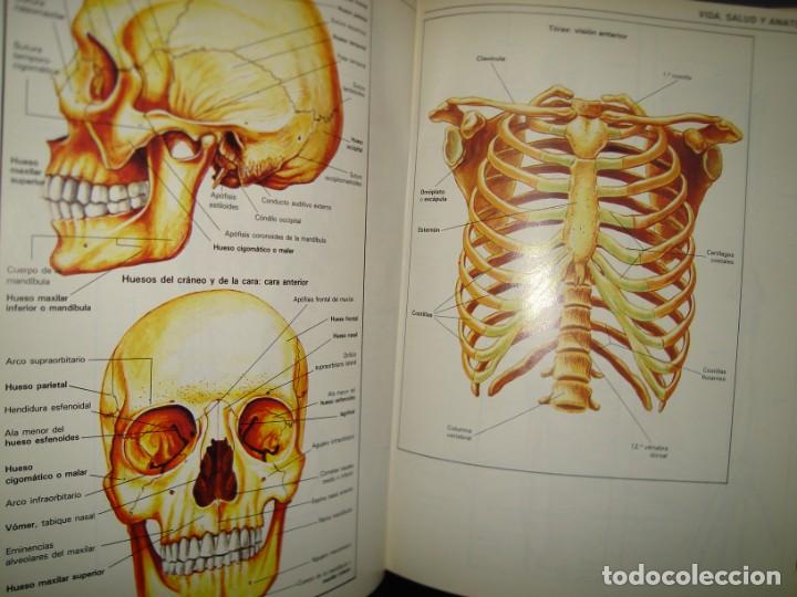 Diccionarios de segunda mano: 13- GRAN DICCIONARIO ENCICLOP&Eacute;DICO VISUAL - Foto 8