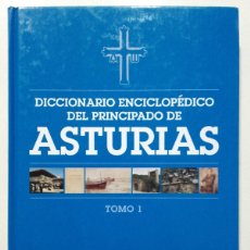 Diccionarios de segunda mano: DICCIONARIO ENCICLOPEDICO DEL PRINCIPADO DE ASTURIAS. TOMO I. Lote 380742434