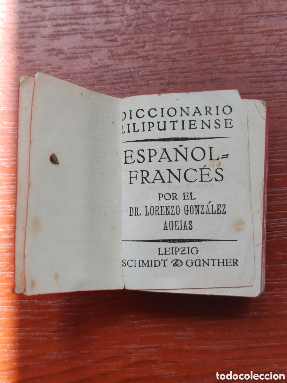 Diccionarios de segunda mano: Diccionario Liliputiense. - Foto 1