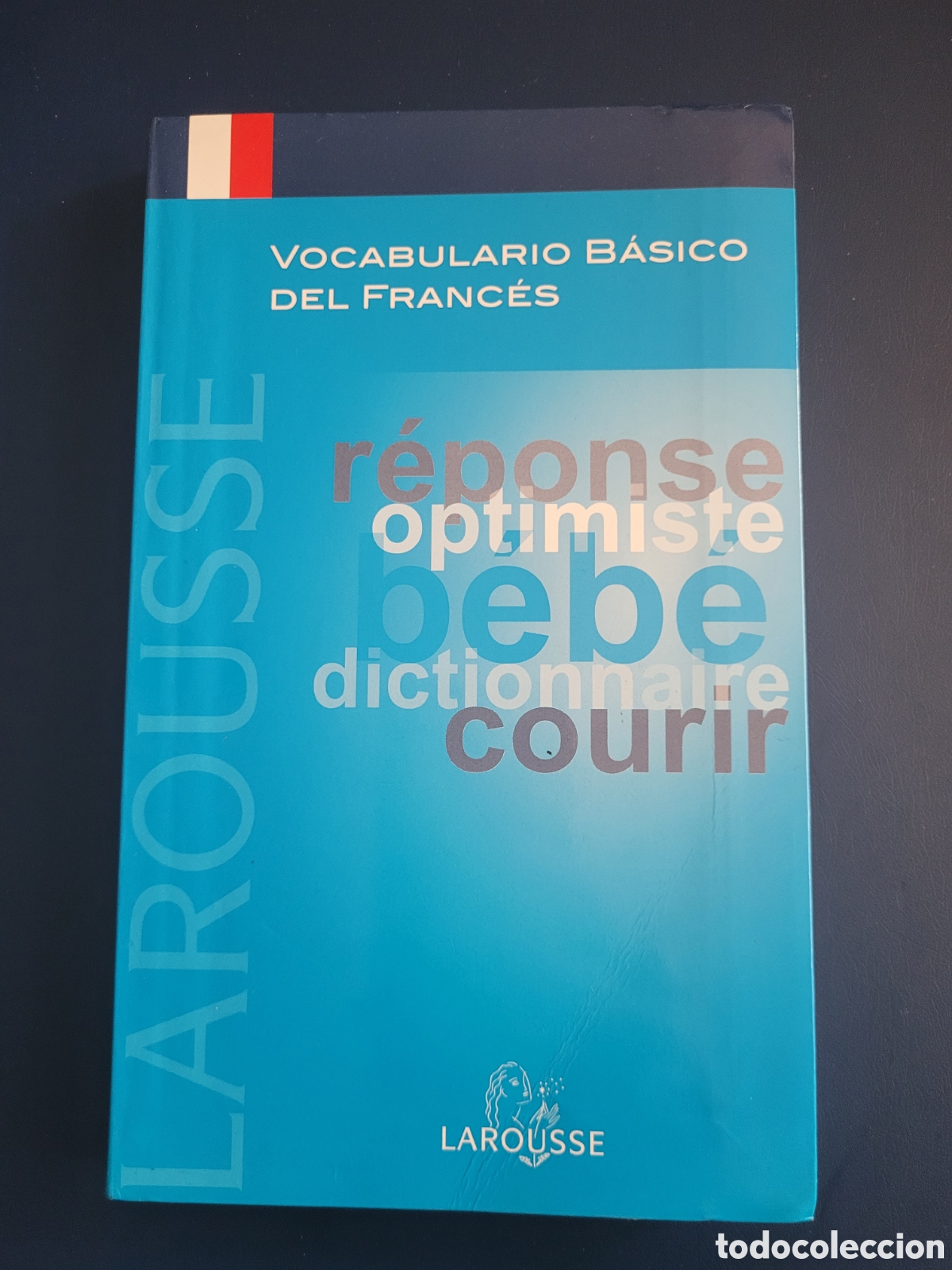 Diccionarios de segunda mano: VOCABULARIO BASICO DEL FRANCES LAROUSSE 2008 - Foto 1
