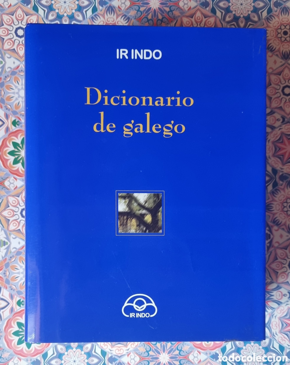 Diccionarios de segunda mano: DICIONARIO DE GALEGO - Foto 1