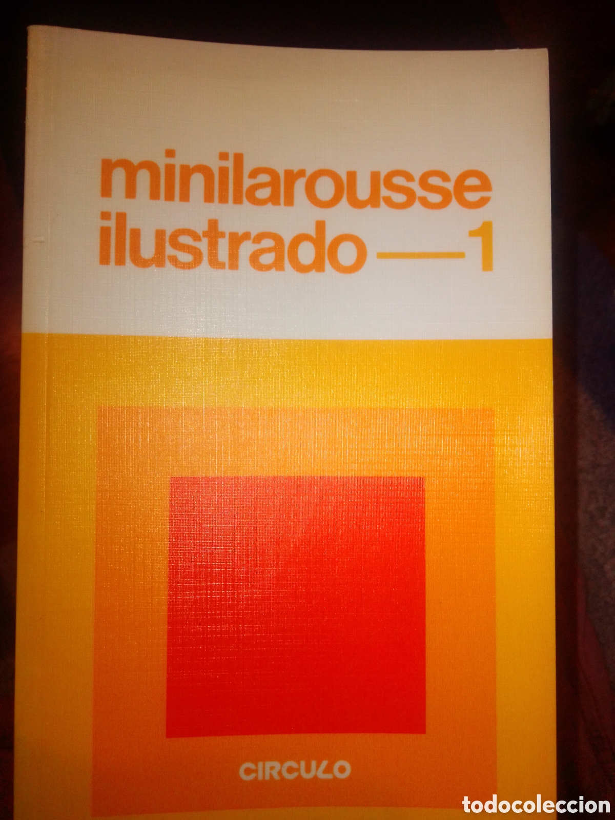 Diccionarios de segunda mano: Minilarousse ilustrado 1 - Foto 1