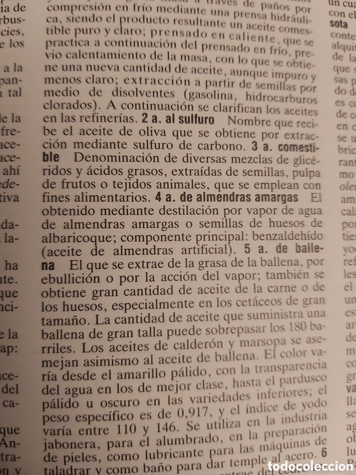 Diccionarios de segunda mano: LOGOS 2000 $ C&Iacute;RCULO DE LECTORES $ 1991 - Foto 5