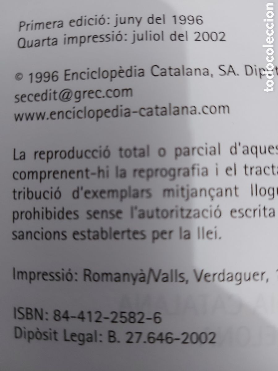 Diccionarios de segunda mano: DICCIONARI CATALA ANGLES any 2002 - Foto 2