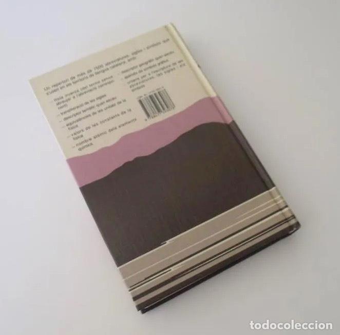 Diccionarios de segunda mano: DICCIONARI DABREVIACIONS - Foto 4