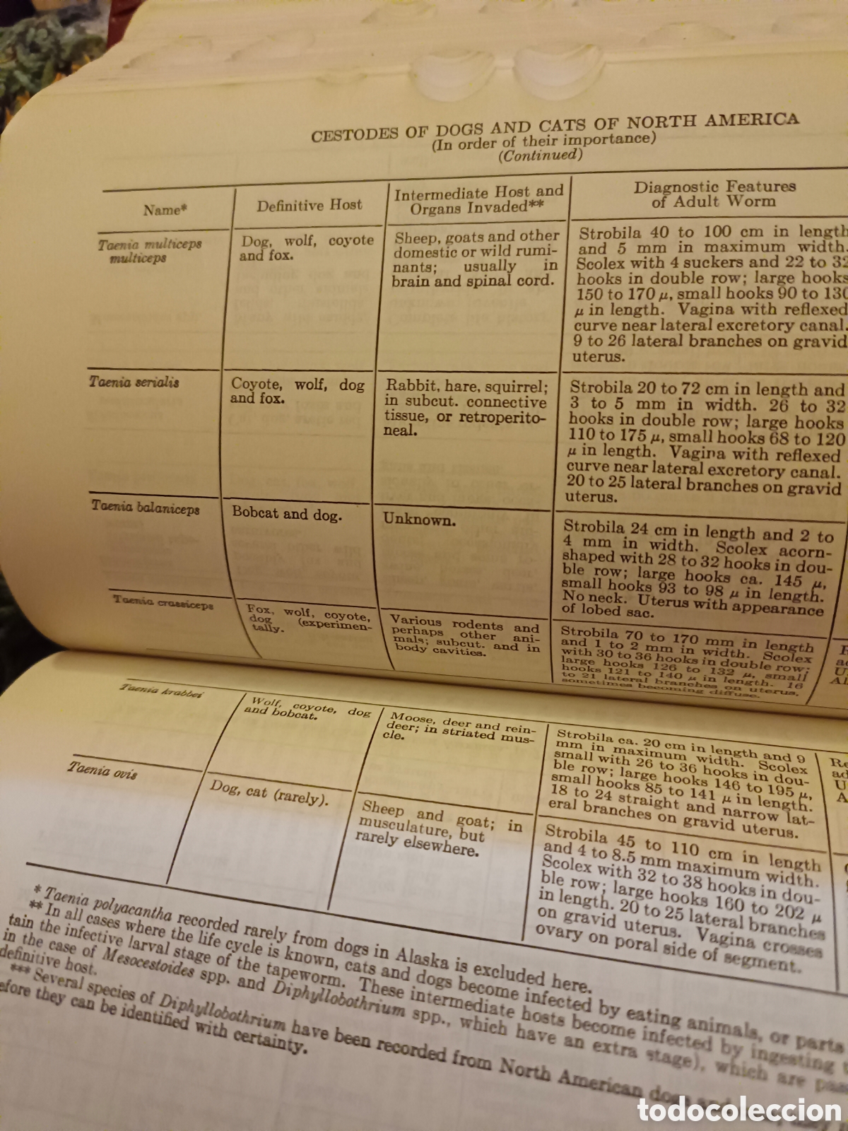 Diccionarios de segunda mano: Manual veterinario 4. Edici&oacute;n - Foto 8
