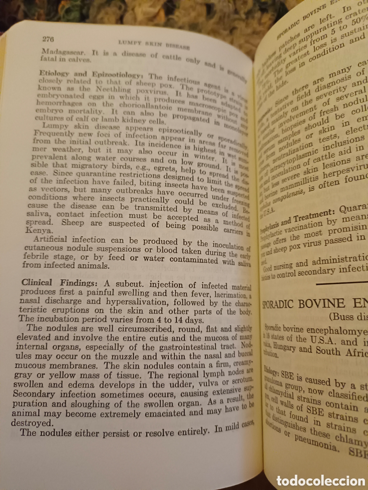 Diccionarios de segunda mano: Manual veterinario 4. Edici&oacute;n - Foto 9