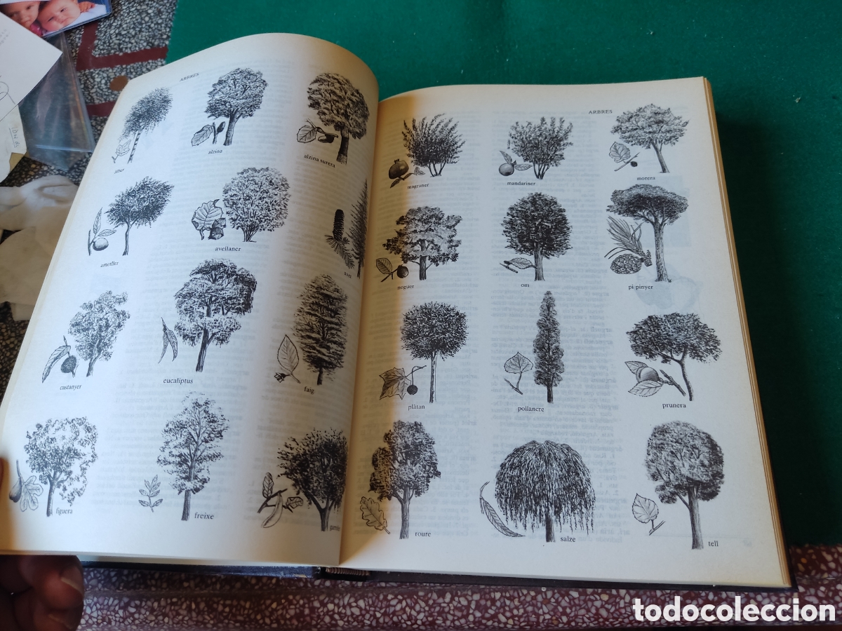 Diccionarios de segunda mano: Libro diccionari de la llengua - Foto 4