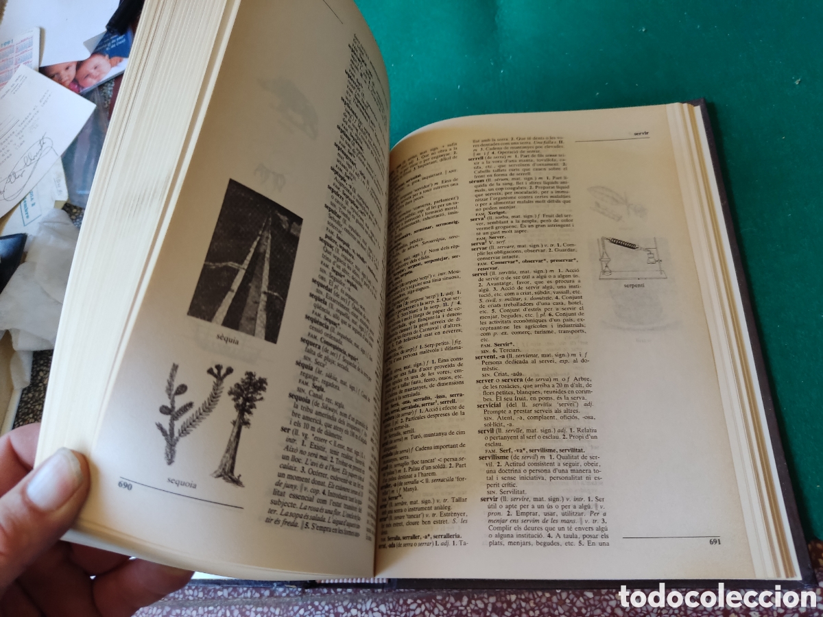 Diccionarios de segunda mano: Libro diccionari de la llengua - Foto 6