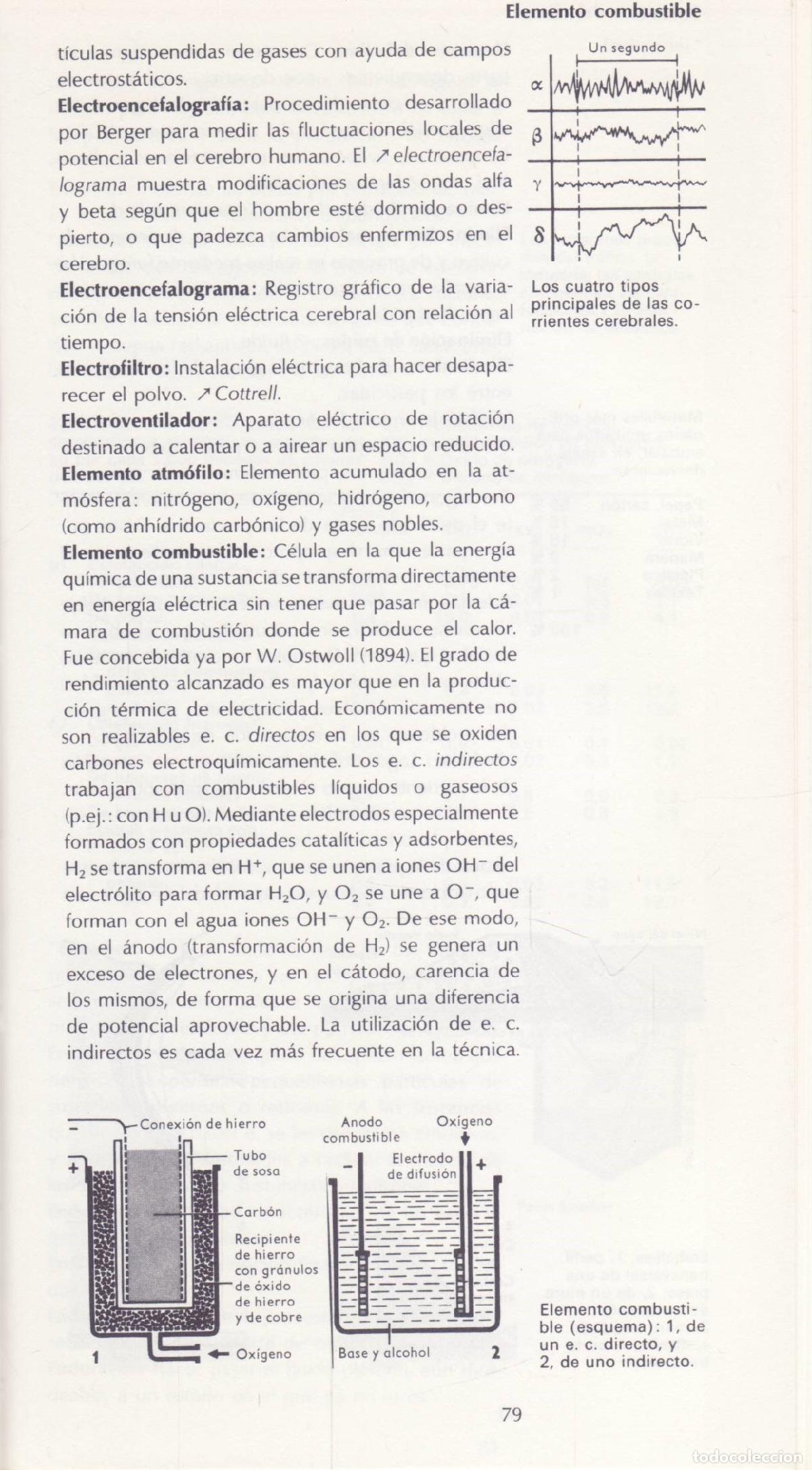 Diccionarios de segunda mano: Ecologia - Sagredo, Jose - Foto 3