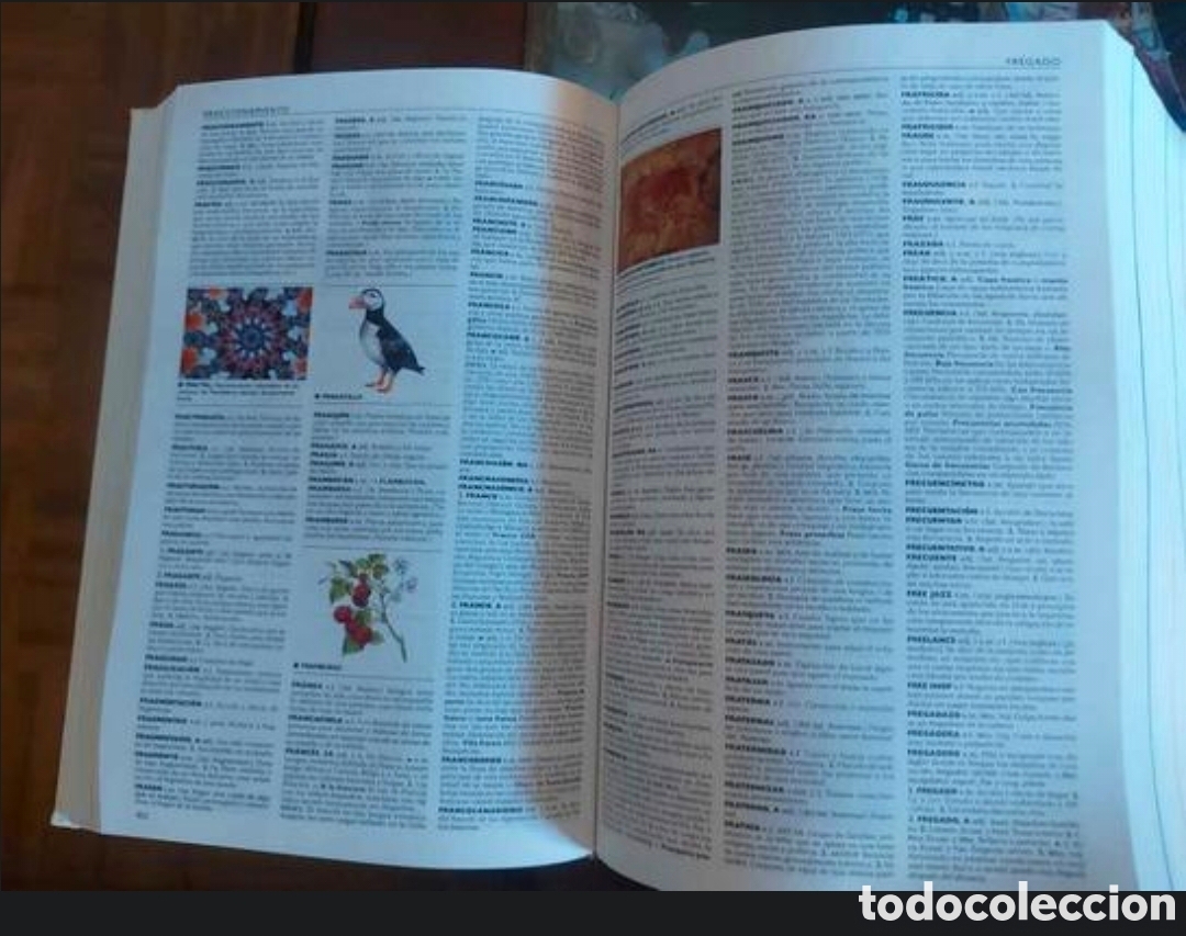 Diccionarios de segunda mano: El peque&ntilde;o Larousse 2003 - Foto 4