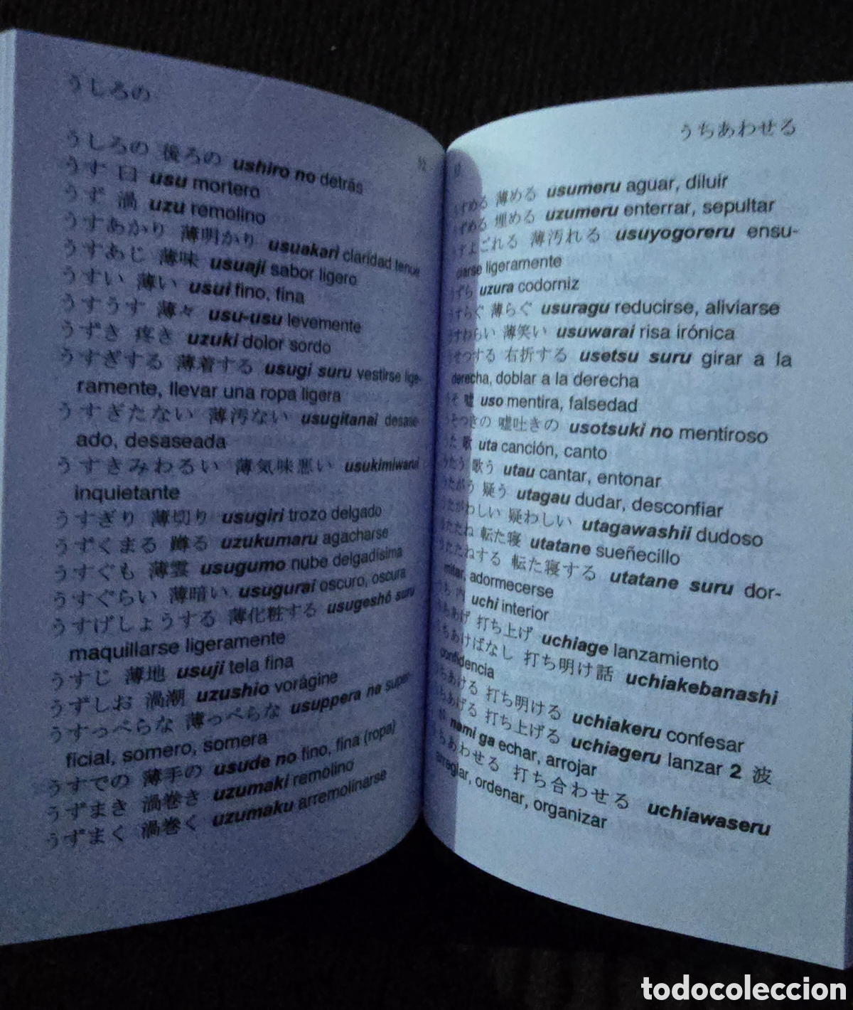 Diccionarios de segunda mano: JAP-ESP / ESP-JAP (DICCIONARIOS) ( - Foto 5