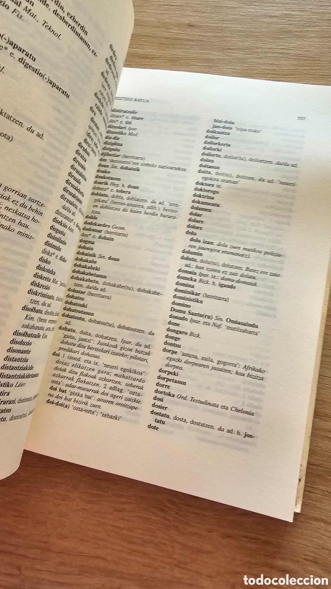 Diccionarios de segunda mano: Libro Euskera Euskaltzaindia - Foto 6