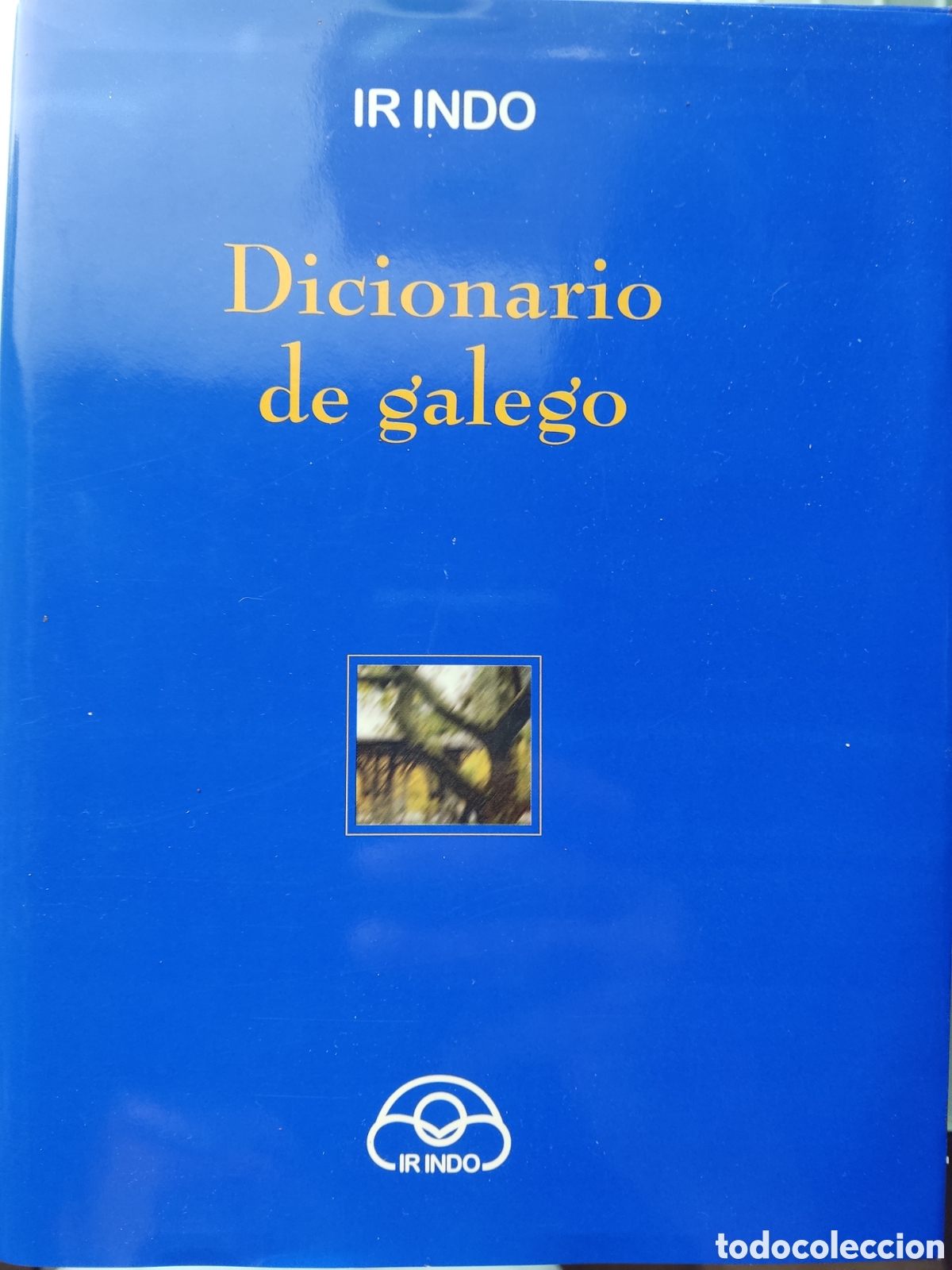 Diccionarios de segunda mano: Dicionario de galego del a&ntilde;o 2004 - Foto 1