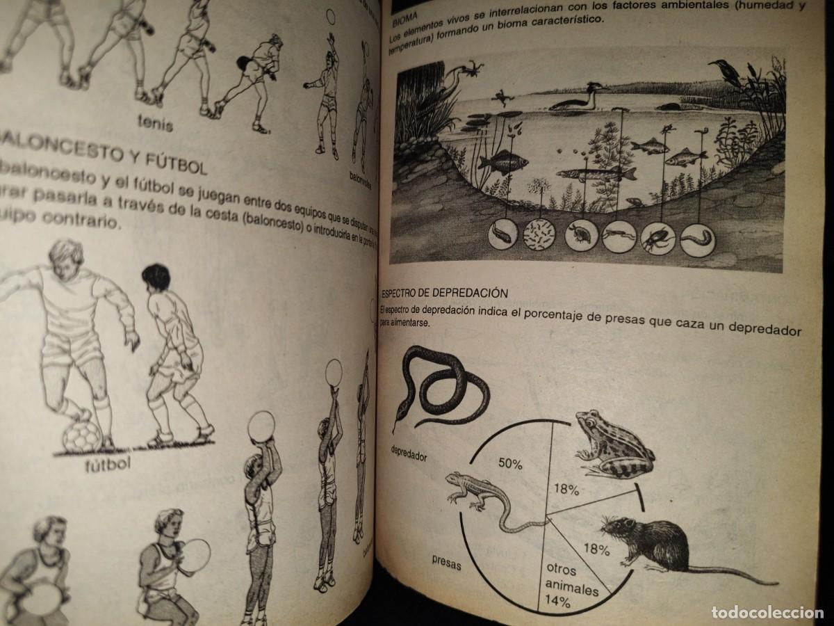 Diccionarios de segunda mano: 154- LAROUSSE. DICCIONARO B&Aacute;SICO ESCOLAR - Foto 9