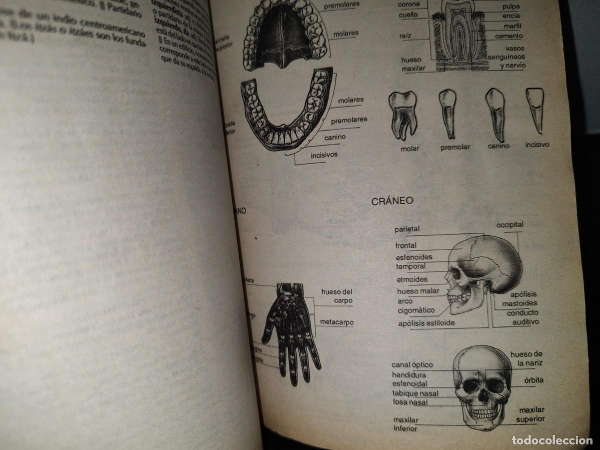 Diccionarios de segunda mano: 154- LAROUSSE. DICCIONARO B&Aacute;SICO ESCOLAR - Foto 11