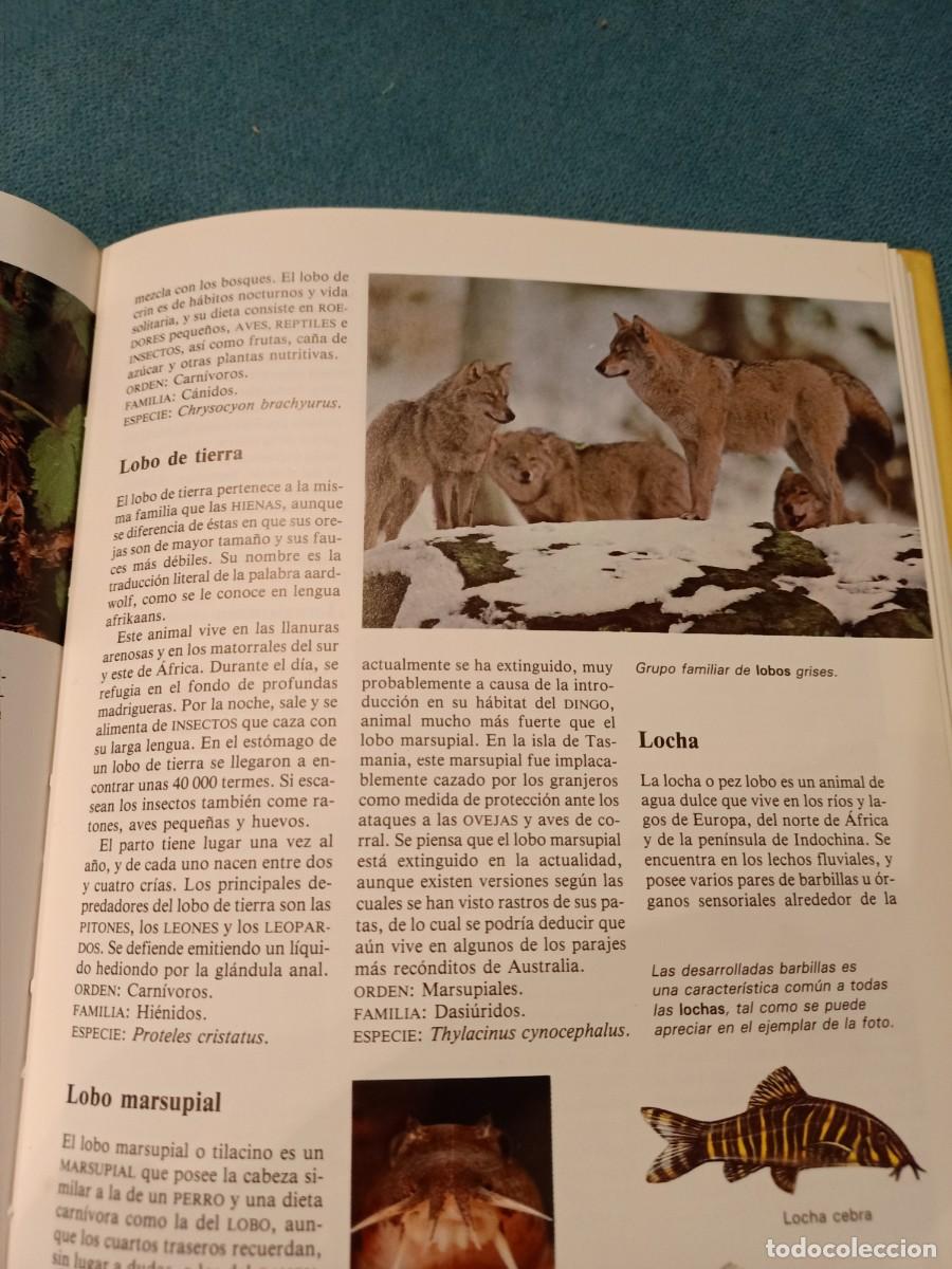Diccionarios de segunda mano: diccionario de animales - Foto 3