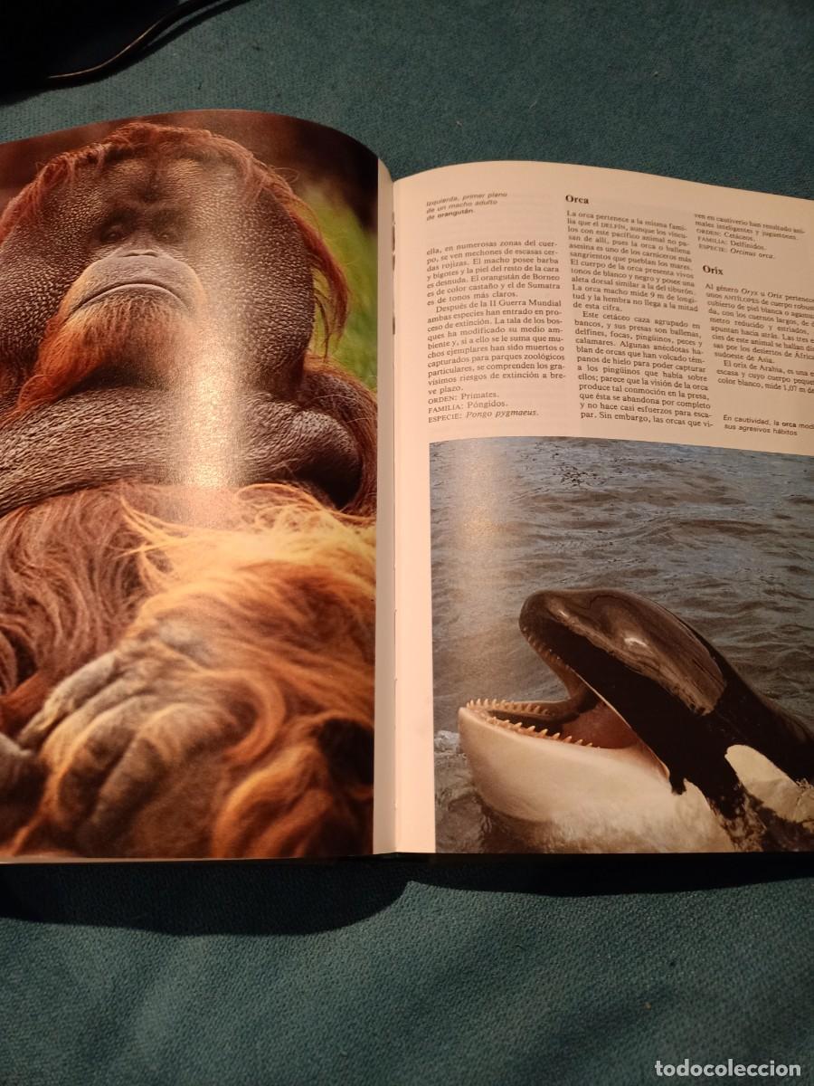 Diccionarios de segunda mano: diccionario de animales - Foto 4