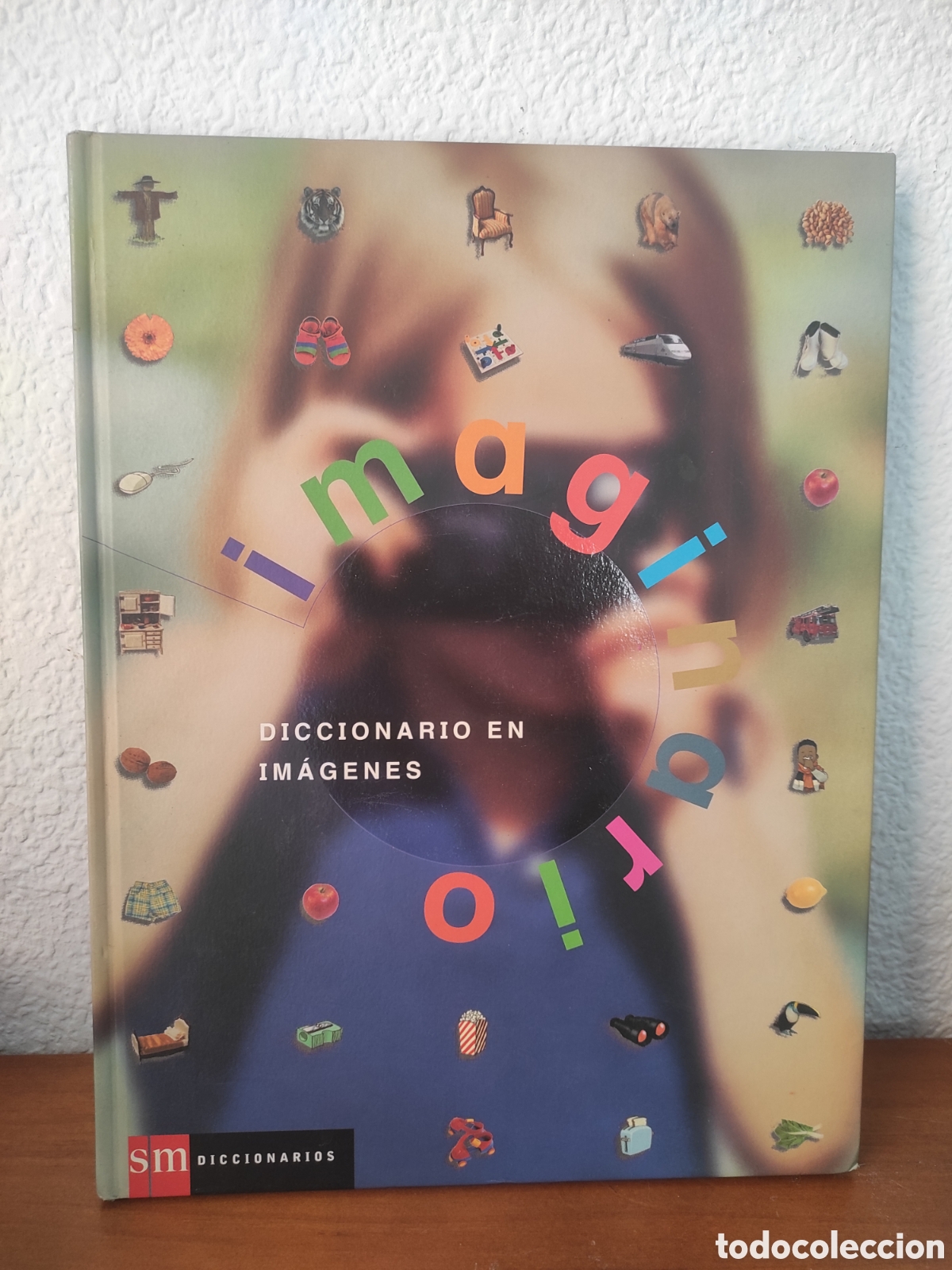 Diccionarios de segunda mano: 2001 Diccionario en im&aacute;genes. Ediciones SM - Foto 1