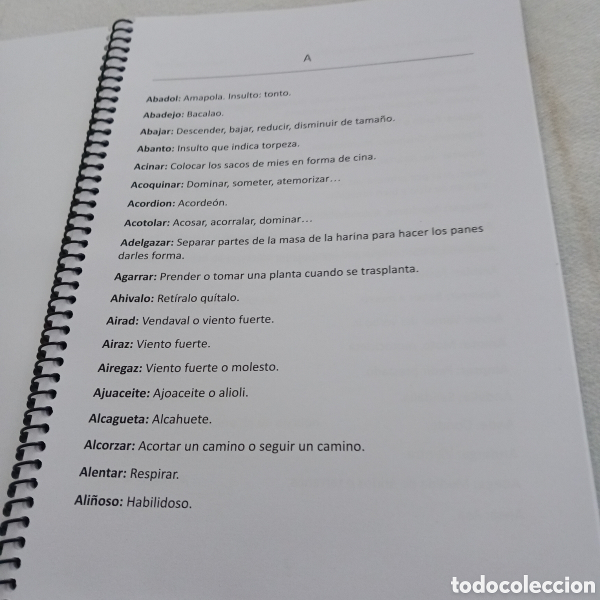 Diccionarios de segunda mano: Diccionario de Palabras Ma&ntilde;as - Foto 3