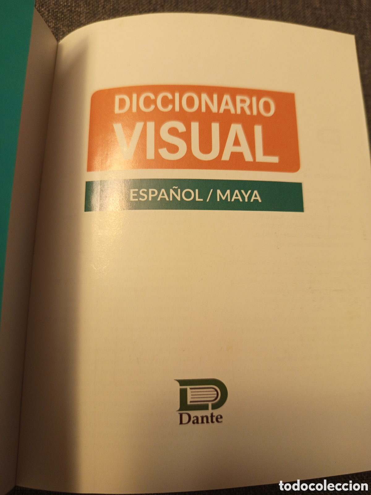 Diccionarios de segunda mano: DICCIONARIO VISUAL ESPA&Ntilde;OL / MAYA (EDITORIAL DANTE) - Foto 2