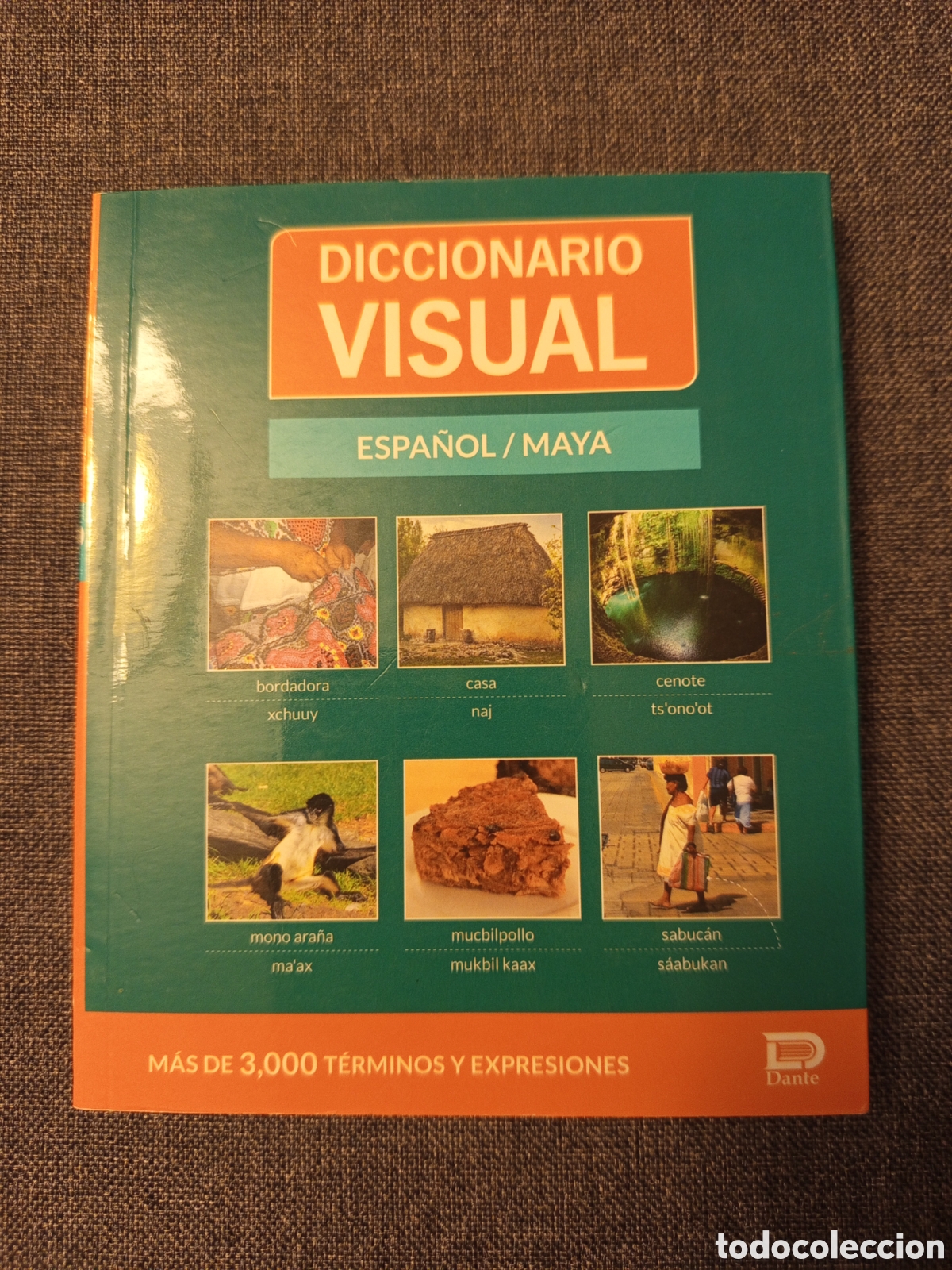 Diccionarios de segunda mano: DICCIONARIO VISUAL ESPA&Ntilde;OL / MAYA (EDITORIAL DANTE) - Foto 1