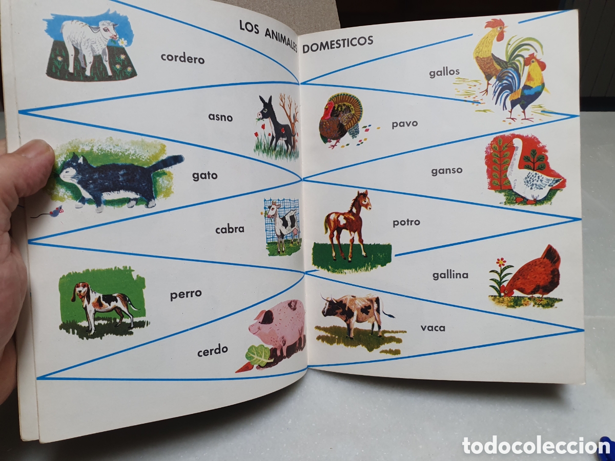 Diccionarios de segunda mano: MI PEQUE&Ntilde;O DICCIONARIO - Foto 3
