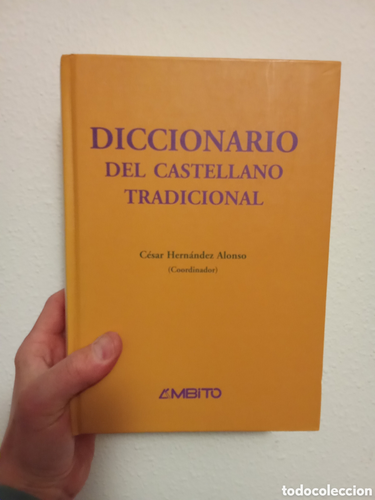 Diccionarios de segunda mano: Diccionario del castellano tradicional - C&eacute;sar Hern&aacute;ndez Alonso - Ambito