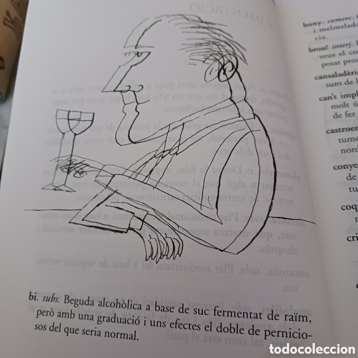 Diccionarios de segunda mano: Diccionari poc Util de Jordi Soler - Foto 11
