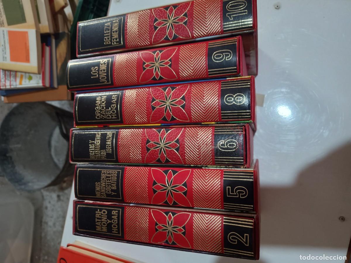 Diccionarios de segunda mano: Enciclopedia Everest para el Hogar