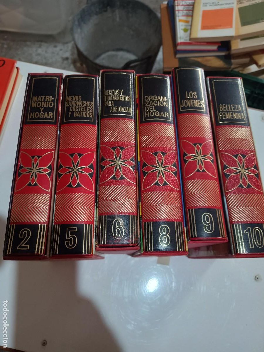 Diccionarios de segunda mano: Enciclopedia Everest para el Hogar