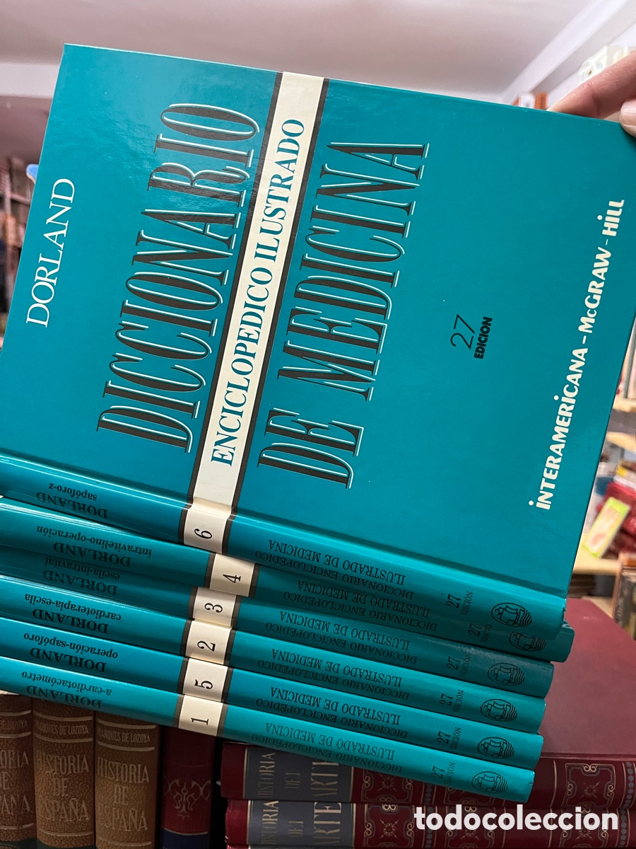 Diccionarios de segunda mano: DICCIONARIO ENCICLOP&Eacute;DICO ILUSTRADO DE MEDICINA DORLAND (6 vol.) Completo - EQUIPO EDITORIAL