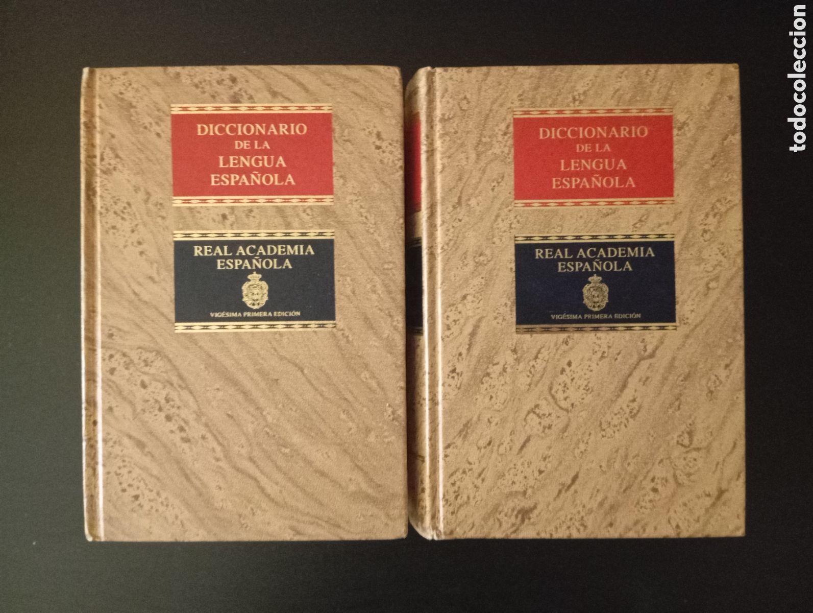 Diccionarios de segunda mano: Diccionario de la Lengua Espa&ntilde;ola 21 Edicion