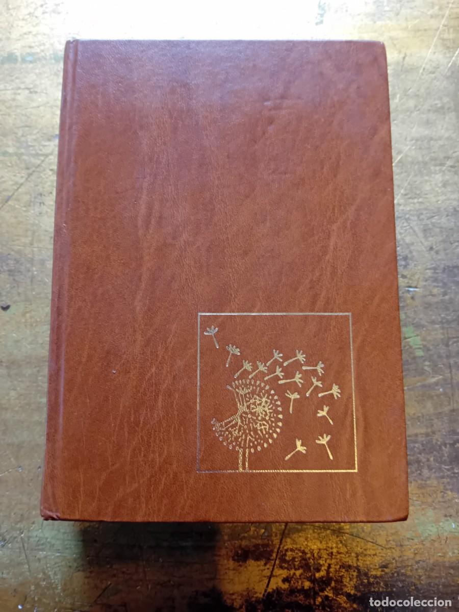 Diccionarios de segunda mano: Peque&ntilde;o Larousse ilustrado 1992 - Foto 2