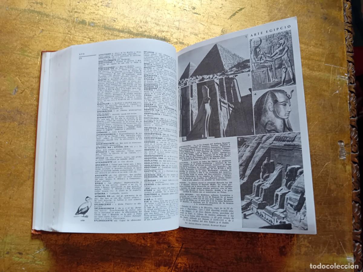 Diccionarios de segunda mano: Peque&ntilde;o Larousse ilustrado 1992 - Foto 6