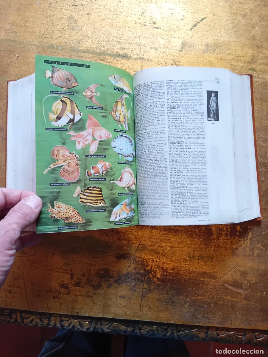 Diccionarios de segunda mano: Peque&ntilde;o Larousse ilustrado 1992 - Foto 7