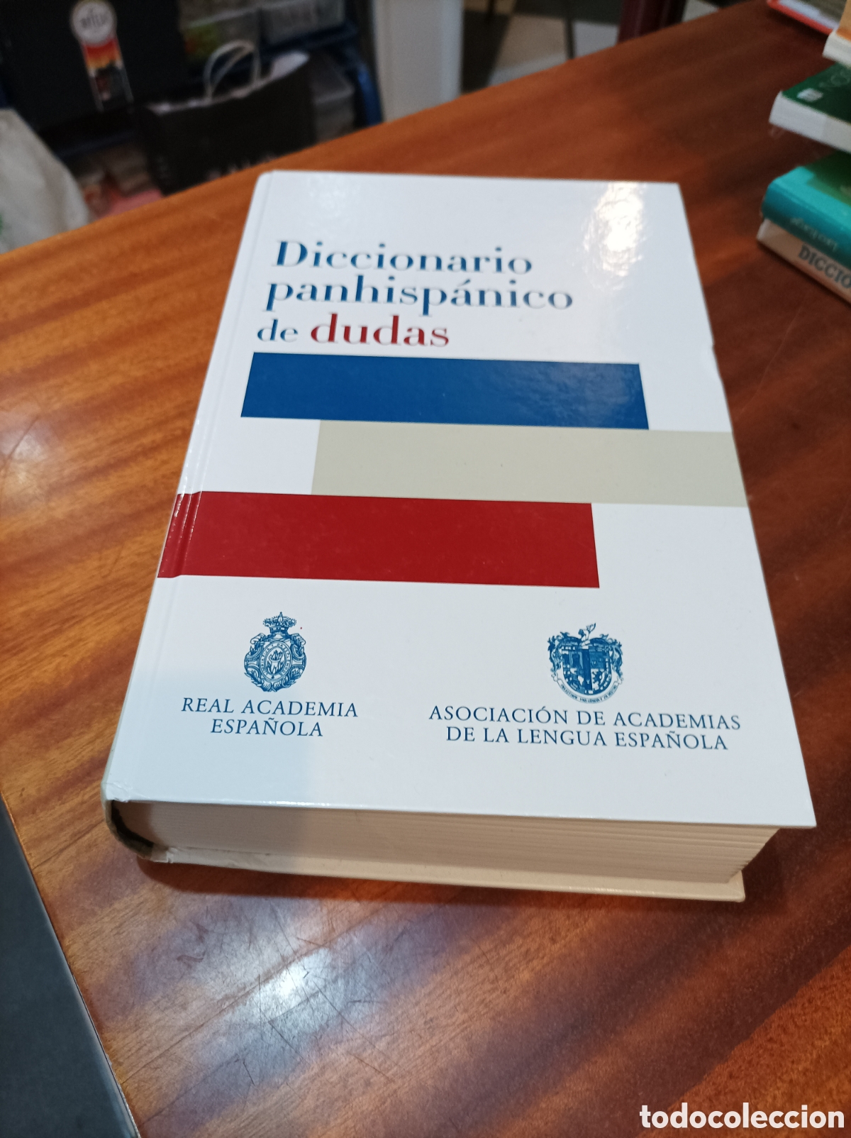 Diccionarios de segunda mano: DICCIONARIO PANHISP&Aacute;NICO DE DUDAS.REAL ACADEMIA ESPA&Ntilde;OLA