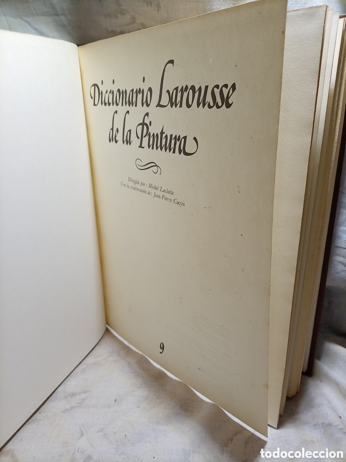 Diccionarios de segunda mano: DICCIONARIO LAROUSSE DE LA PINTURA, TOMO 9