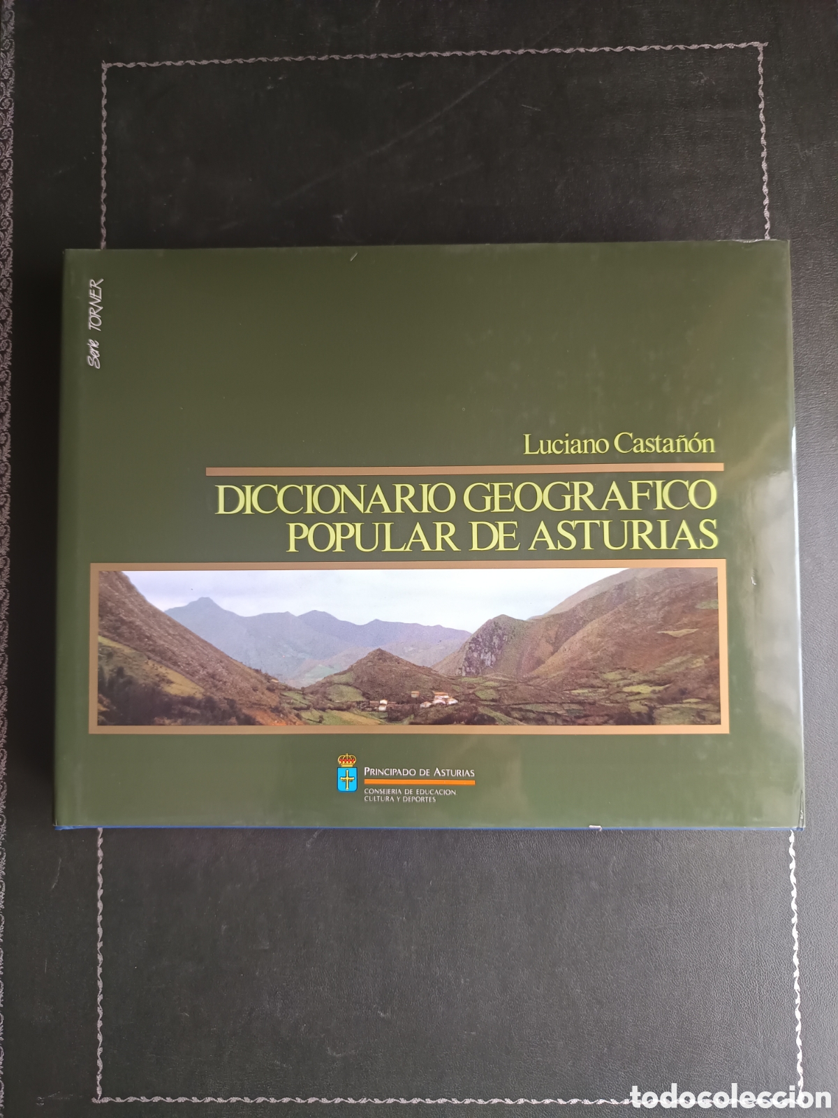 Diccionarios de segunda mano: DICCIONARIO GEOGRAFICO POPULAR DE ASTURIAS - LUCIANO CASTA&Ntilde;ON.