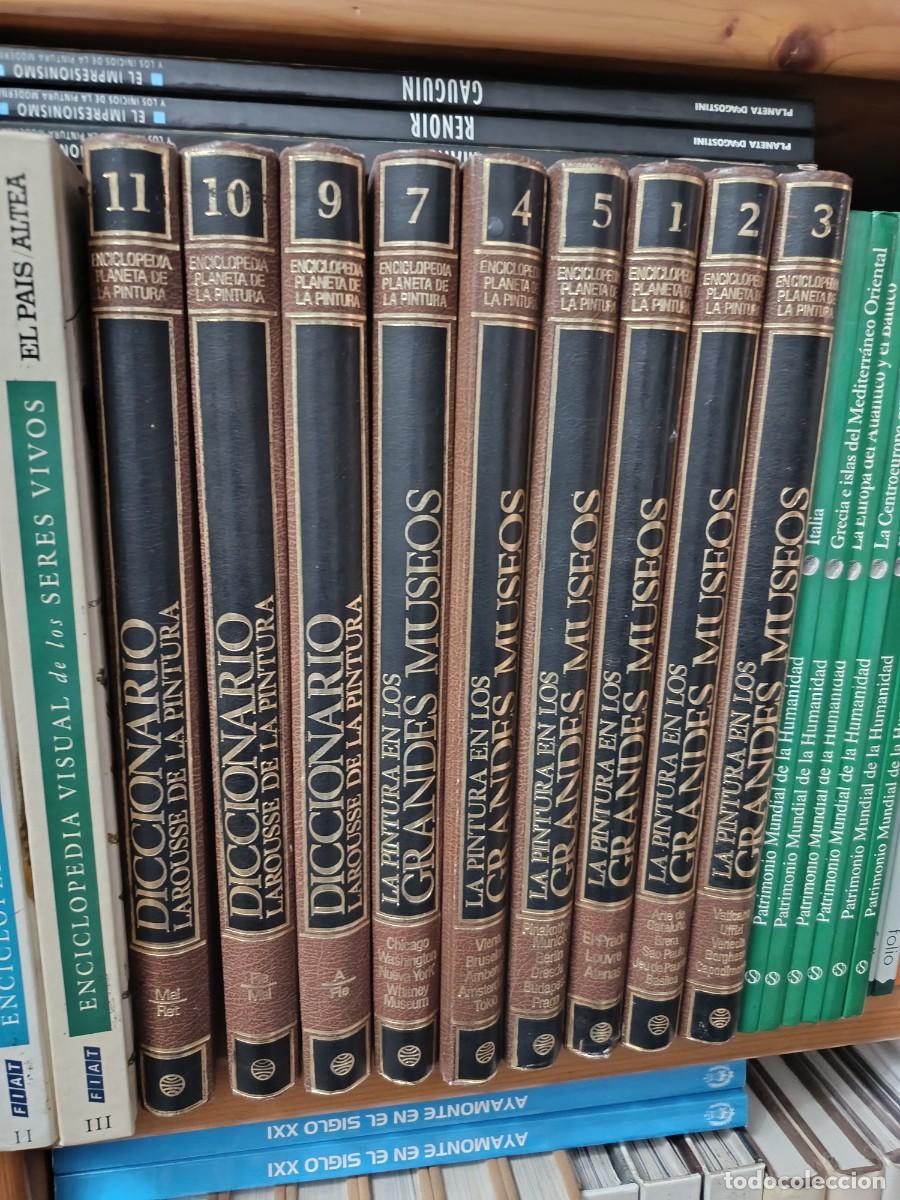 Diccionarios de segunda mano: DICCIONARIO LAROUSSE DE LA PINTURA