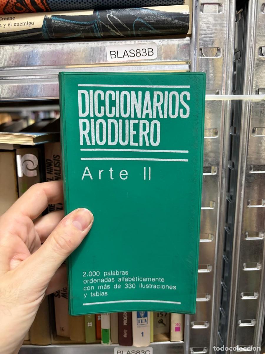 Diccionarios de segunda mano: BLAS83C DICCIONARIOS RIODUERO: Arte II, editorial -