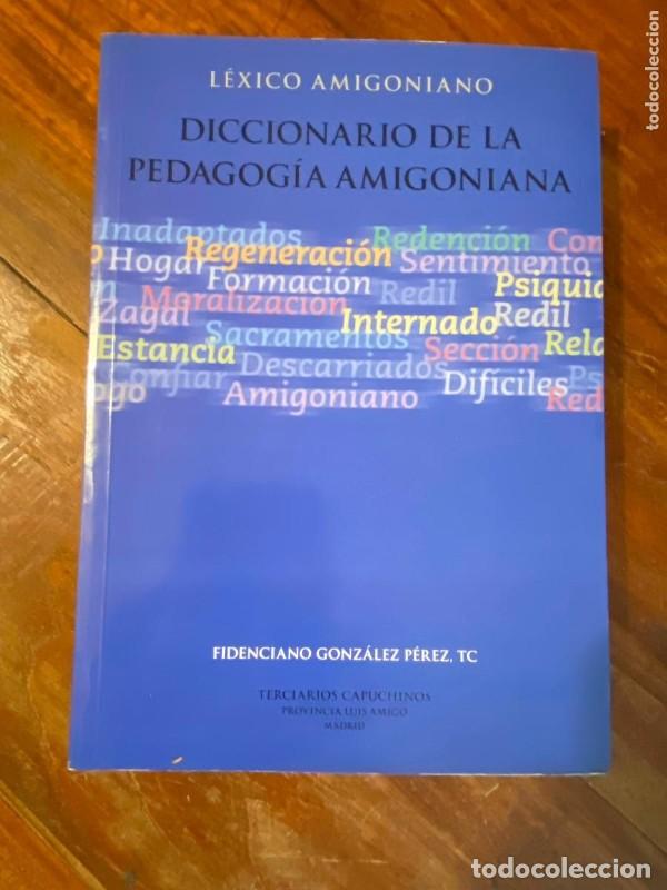 Diccionarios de segunda mano: Diccionario de la Pedagog&iacute;a Amigoniana - Fidenciano Gonz&aacute;lez P&eacute;rez - Provincia Luis Amig&oacute;