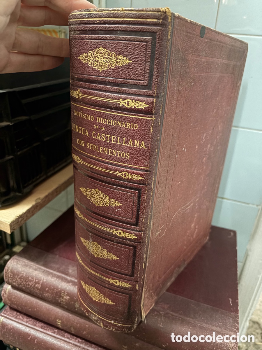 Diccionarios de segunda mano: Novisimo, diccionario de la lengua castellana, 1883, gran formato