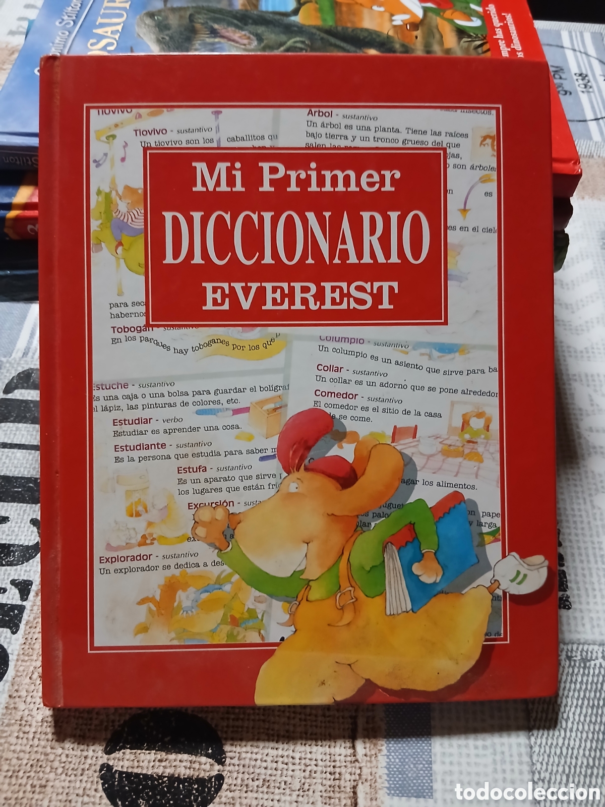 Diccionarios de segunda mano: Libro Mi Priner Diccionario -Ed. Everest- - Foto 1