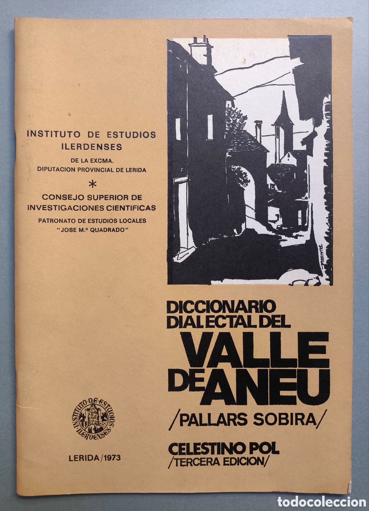 Diccionarios de segunda mano: VALL D'&Agrave;NEU PALLARS SOBIR&Agrave; DICCIONARIO DIALECTAL L&Eacute;RIDA 1973