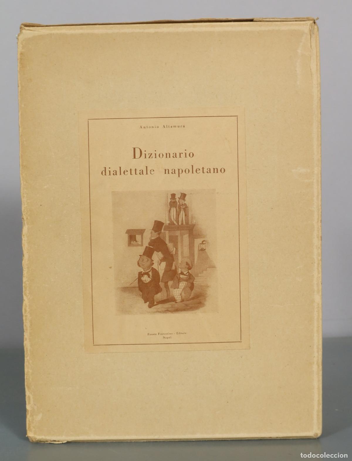 Diccionarios de segunda mano: Dizionario dialettale napoletano - Antonio Altamura - Fausto Fiorentino Editore