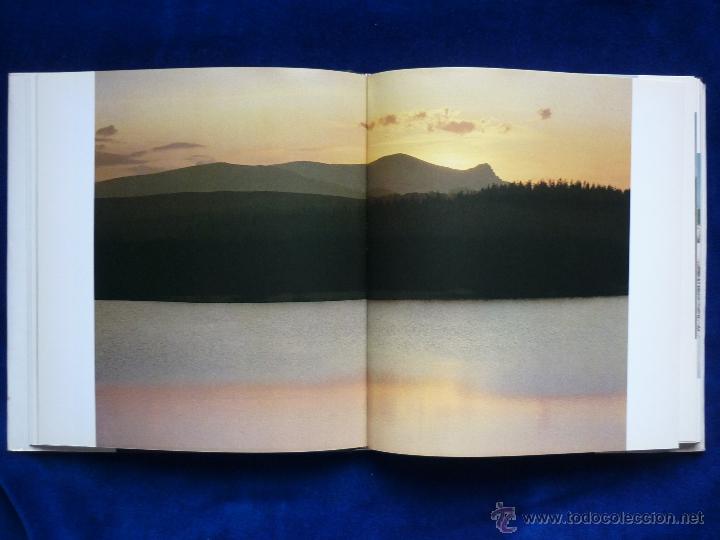 Libros de segunda mano: Zero huts - Foto 5