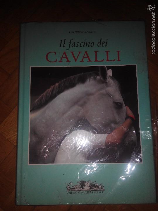 Second hand books: LIBRO FOTOGRAFIA CABALLOS GRAN FORMATO IL FASCINO DEI CAVALLI EDICION LUJO valorado en 60&euro;