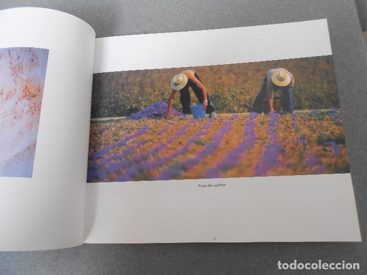 Libros de segunda mano: LA MIRADA Y LA VIDA - Foto 4