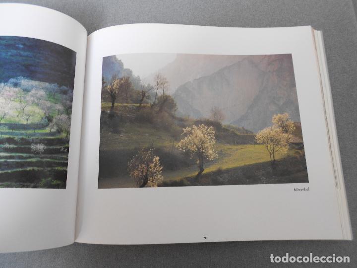 Libros de segunda mano: LA MIRADA Y LA VIDA - Foto 10